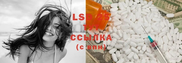 PSILOCYBIN Алексеевка