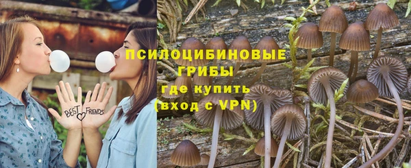 соль ск Алексин