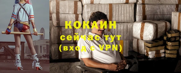 соль ск Алексин
